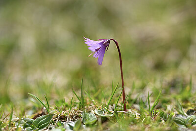 BUITEN BEELD Foto: 427783