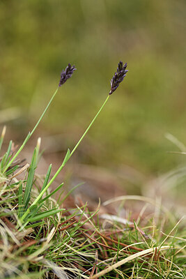 BUITEN BEELD Foto: 427807