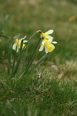 BUITEN BEELD Foto: 427861