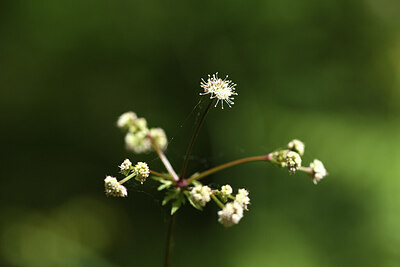 BUITEN BEELD Foto: 427864