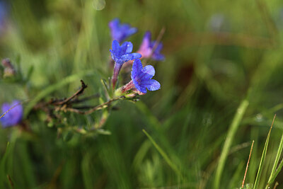 BUITEN BEELD Foto: 427884