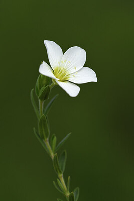 BUITEN BEELD Foto: 427951