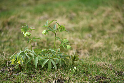 BUITEN BEELD Foto: 427966