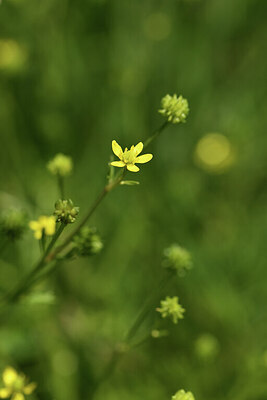 BUITEN BEELD Foto: 427974