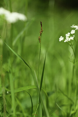 BUITEN BEELD Foto: 427980