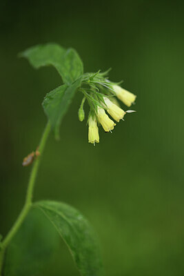 BUITEN BEELD Foto: 427988