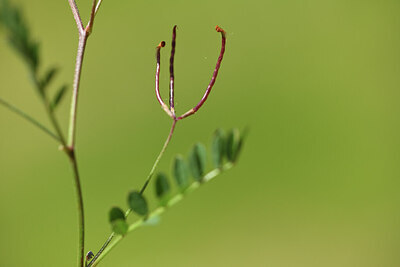 BUITEN BEELD Foto: 428002