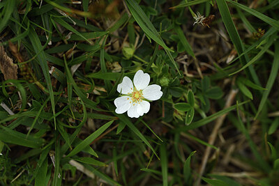 BUITEN BEELD Foto: 428009