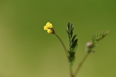 BUITEN BEELD Foto: 428030