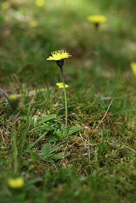 BUITEN BEELD Foto: 428031