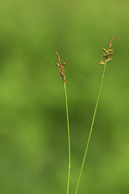 BUITEN BEELD Foto: 428032