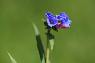 BUITEN BEELD Foto: 428038