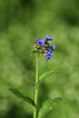 BUITEN BEELD Foto: 428056