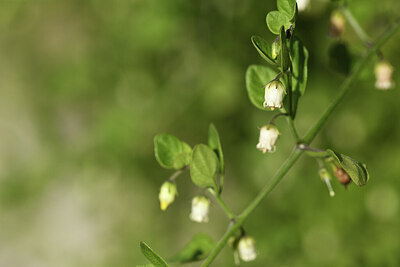 BUITEN BEELD Foto: 428059
