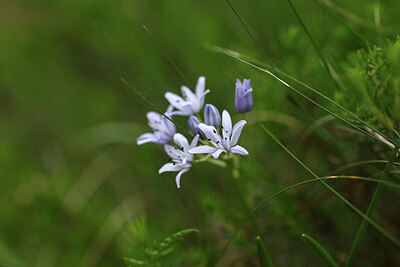 BUITEN BEELD Foto: 428064