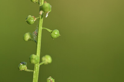 BUITEN BEELD Foto: 428071