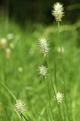 BUITEN BEELD Foto: 428095