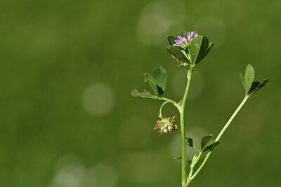 BUITEN BEELD Foto: 428120