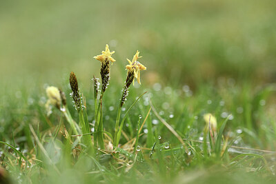 BUITEN BEELD Foto: 428134