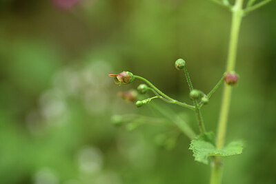 BUITEN BEELD Foto: 428161