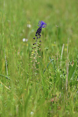 BUITEN BEELD Foto: 428193