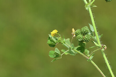 BUITEN BEELD Foto: 428201