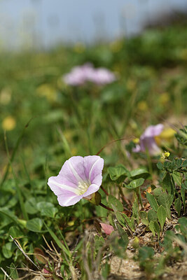 BUITEN BEELD Foto: 428223