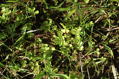 BUITEN BEELD Foto: 428235