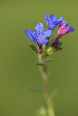 BUITEN BEELD Foto: 428243