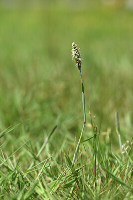 BUITEN BEELD Foto: 428254