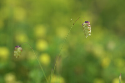 BUITEN BEELD Foto: 428259