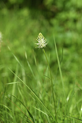 BUITEN BEELD Foto: 428272