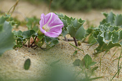 BUITEN BEELD Foto: 428291