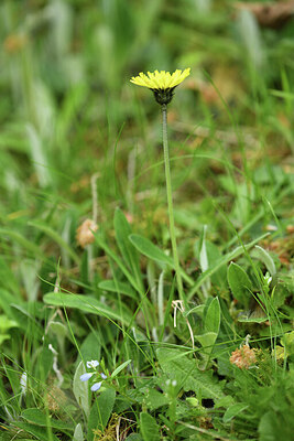 BUITEN BEELD Foto: 428293