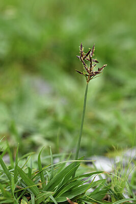 BUITEN BEELD Foto: 428306