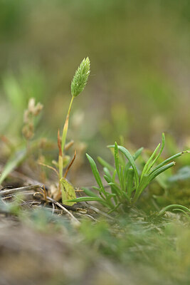 BUITEN BEELD Foto: 428324