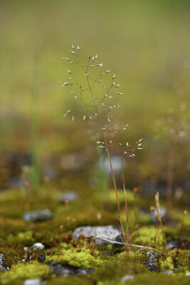 BUITEN BEELD Foto: 428330