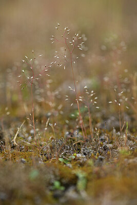 BUITEN BEELD Foto: 428363