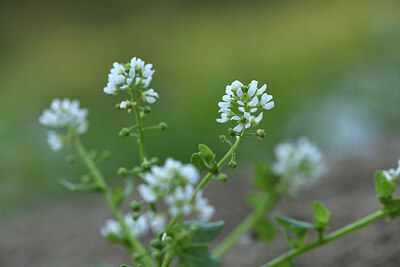 BUITEN BEELD Foto: 428394