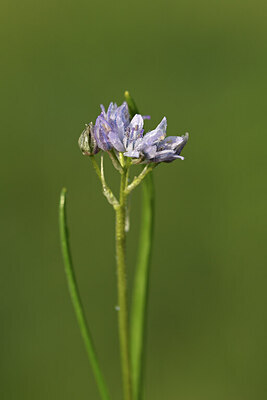 BUITEN BEELD Foto: 428413