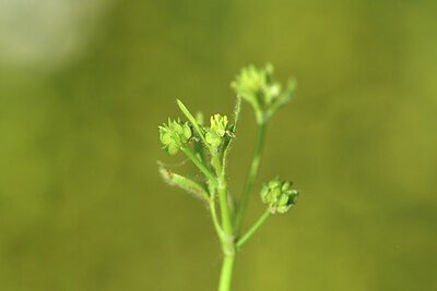 BUITEN BEELD Foto: 428418