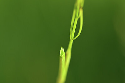BUITEN BEELD Foto: 428434