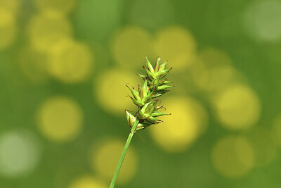 BUITEN BEELD Foto: 428460