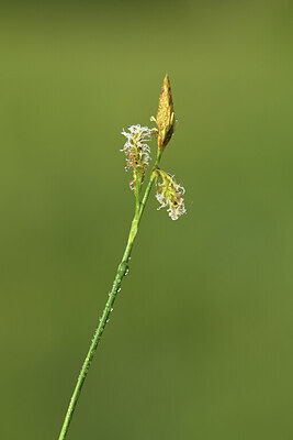 BUITEN BEELD Foto: 428475