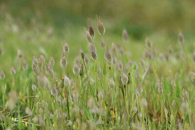 BUITEN BEELD Foto: 428477