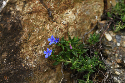 BUITEN BEELD Foto: 428528