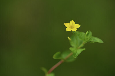 BUITEN BEELD Foto: 428546