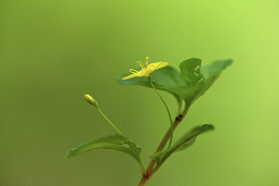 BUITEN BEELD Foto: 428559