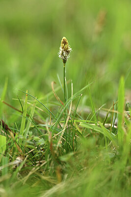 BUITEN BEELD Foto: 428597