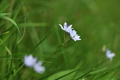 BUITEN BEELD Foto: 428603